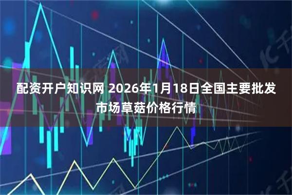 配资开户知识网 2026年1月18日全国主要批发市场草菇价格行情